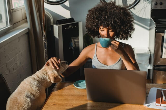 A dog near its owner by the computer